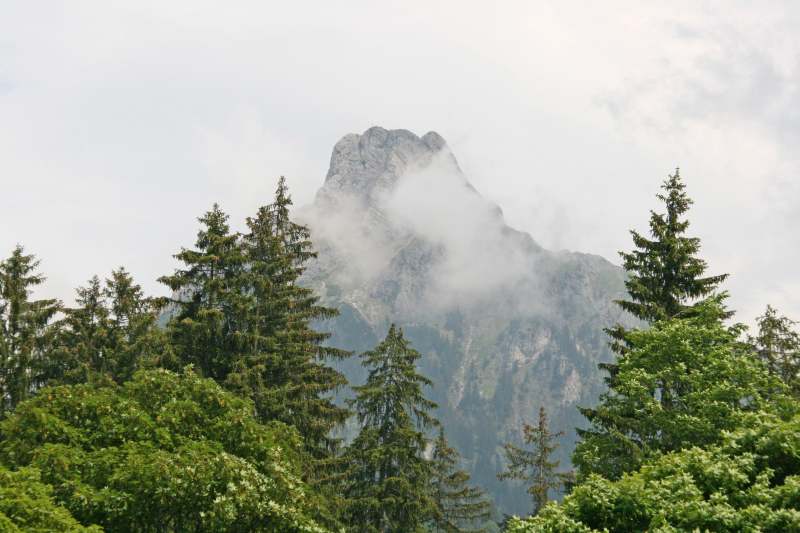 Neuschwanstein juni 2011 - 133